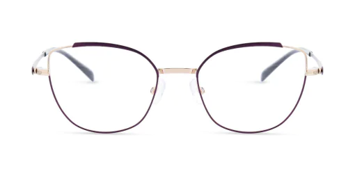 Oprawa okularowa MOREL NOMAD 40139N PP06