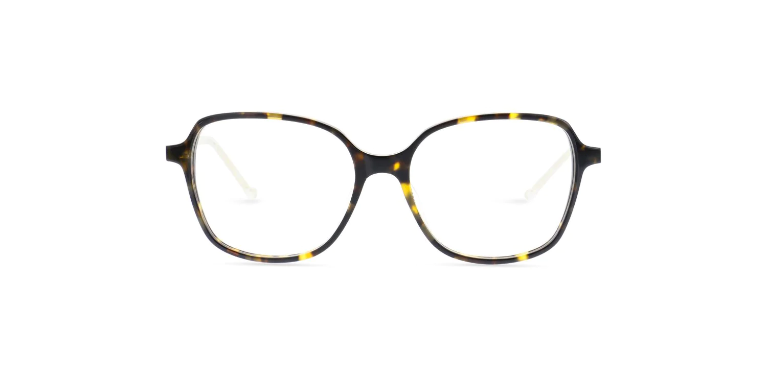 Oprawa okularowa MOREL 1880 60105M TD09