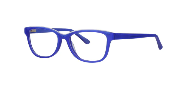 Oprawa okularowa PREMIUM VISION  4452C4