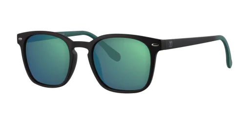 Okulary przeciwsłoneczne TONNY 9308C1