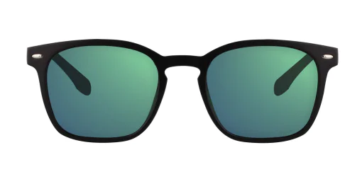 Okulary przeciwsłoneczne TONNY 9308C1