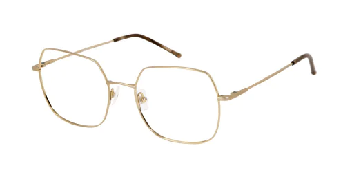 Oprawa okularowa GIGI Studios 8055/0 DAHLIA