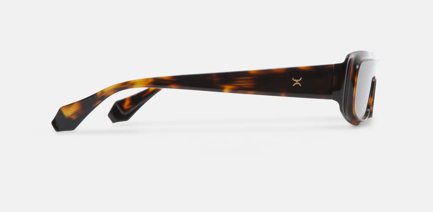 Okulary przeciwsłoneczne GIGI Studios 6985/2 TANIT