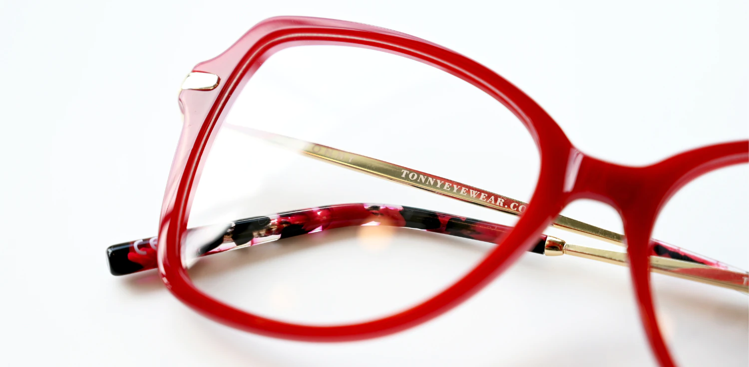 Oprawa okularowa TONNY 14034C2