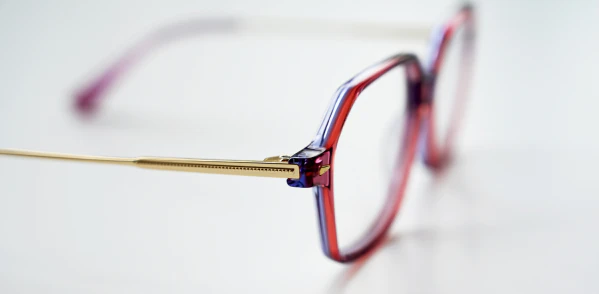 Oprawa okularowa TONNY 14028C2