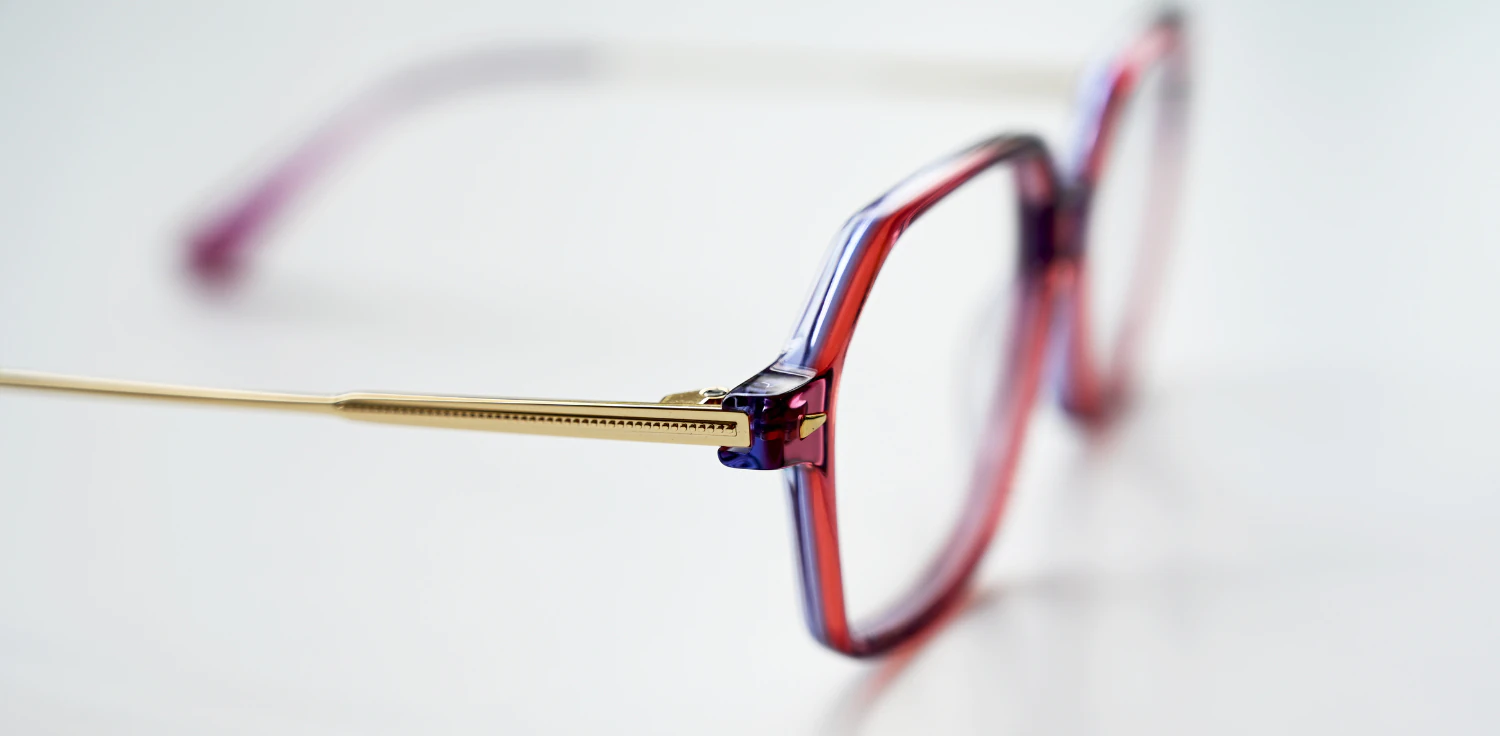 Oprawa okularowa TONNY 14028C2