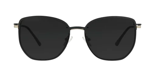 Nakładka przeciwsłoneczna CLIP-ON 48387C1