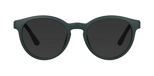 Nakładka przeciwsłoneczna CLIP-ON 48388C4