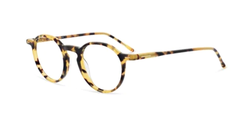 Oprawa okularowa MOREL 30427L LEAVITT 1 TD01