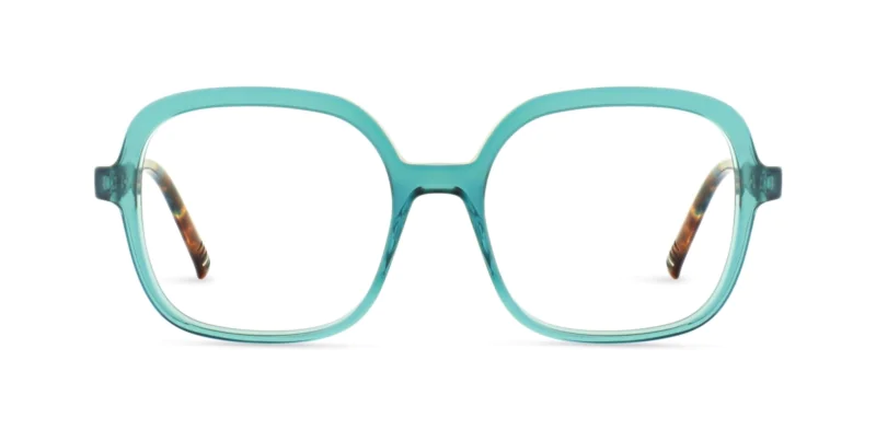 Oprawa okularowa MOREL 20276K ELSA 4 VV11