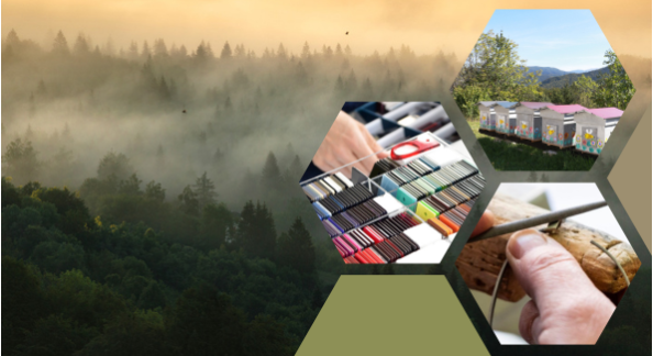 Ekologiczna wizja przyszłości MOREL